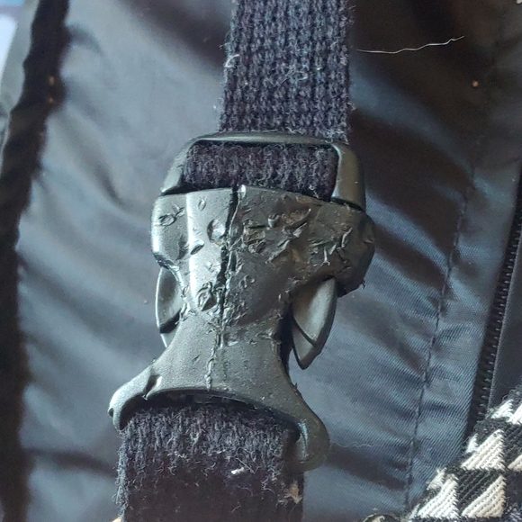 Fanny Pac - Picture 4 of 4